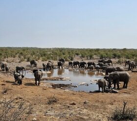 Hotel Review – Namutoni Camp, Etosha National Park